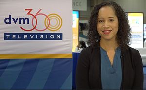 ACVC 2019: Wrapping it up