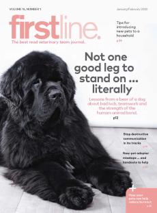 Firstline January/February 2020
