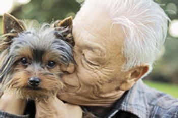 veterinary_dog yorkie man bond love_220px_72007607.jpg