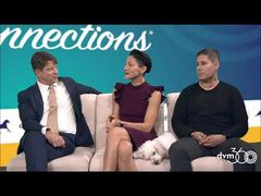 EP. 9 Even indoor cats should have pet health insurance