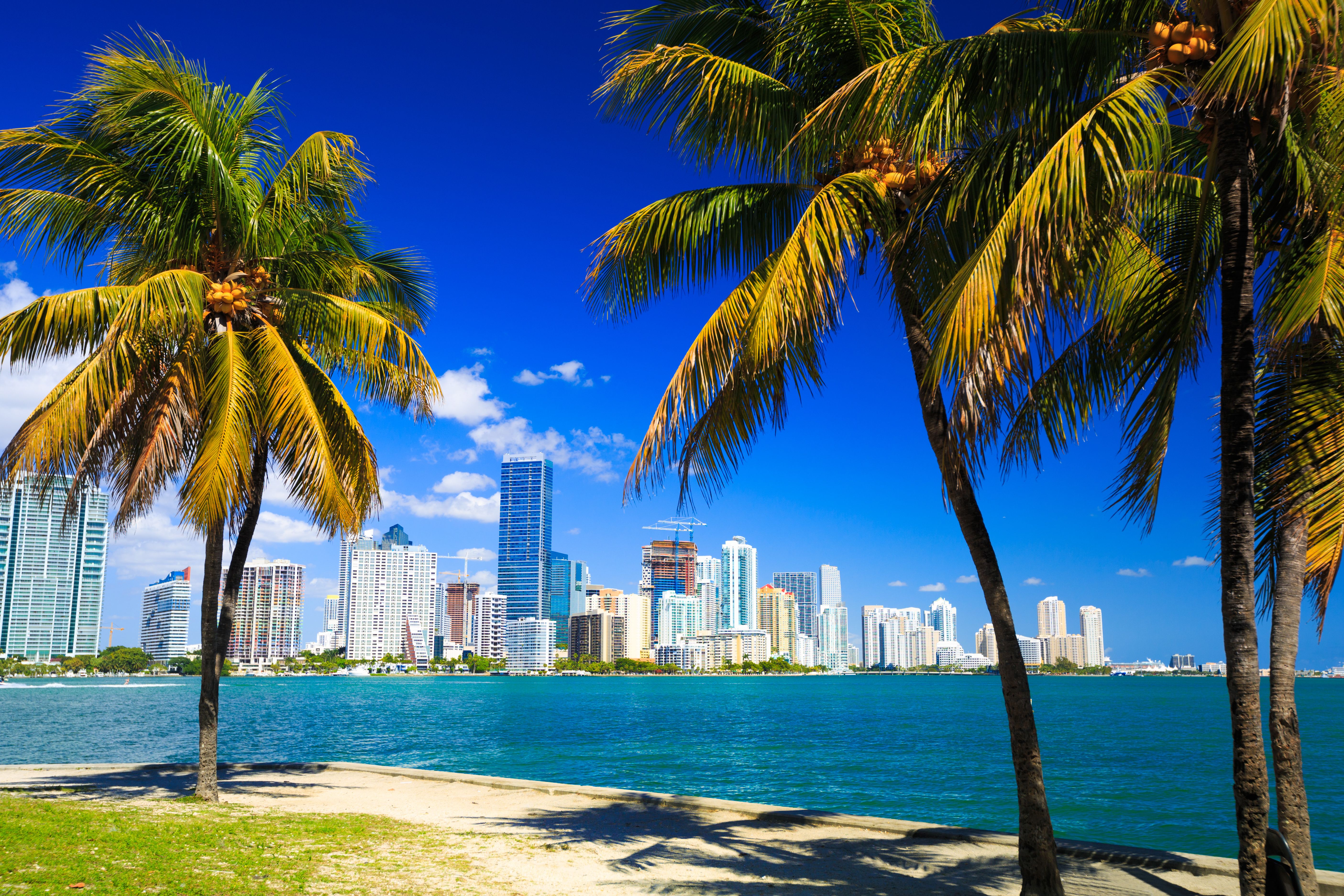 DIVM Miami