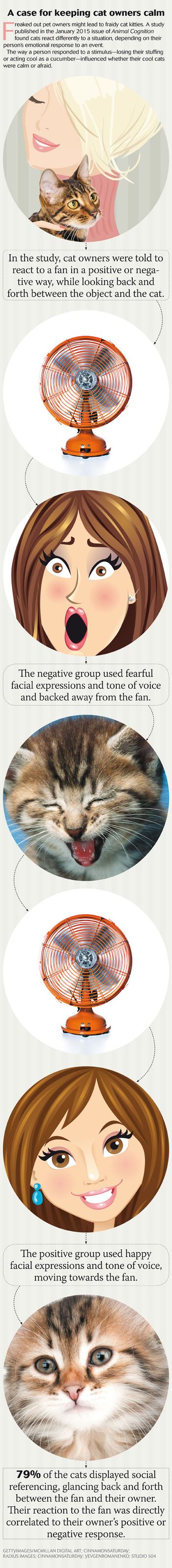 catscroll450.jpg