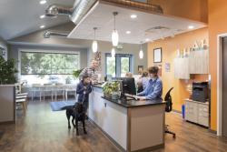 Build your first veterinary hospital
