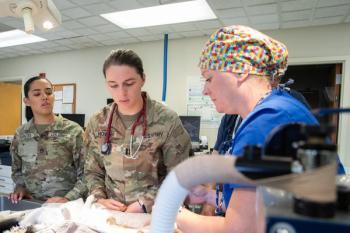 military veterinarians