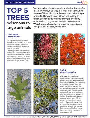 veterinary-trees-poisonous-large-animals-450.jpg