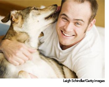 veterinary_petadoption_wd-576199-1384527494818.jpg