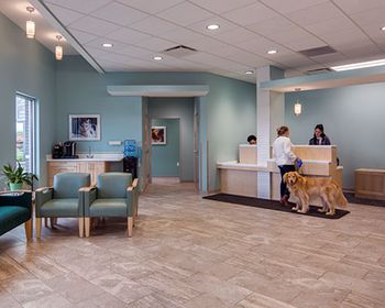veterinary-hd-NoahsWestsideAnimalHospital_Reception1-450.jpg
