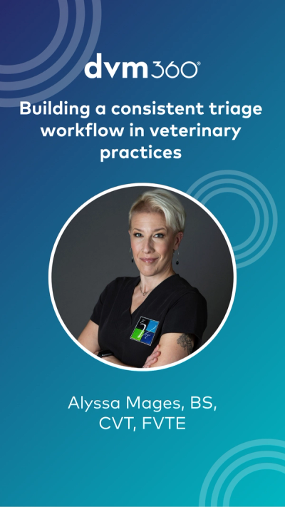 Building a consistent triage workflow in veterinary practices