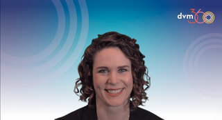Improving your approach to otitis externa and client education