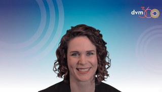 Improving your approach to otitis externa and client education