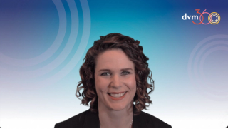 Examining the medications associated with treating otitis externa symptoms