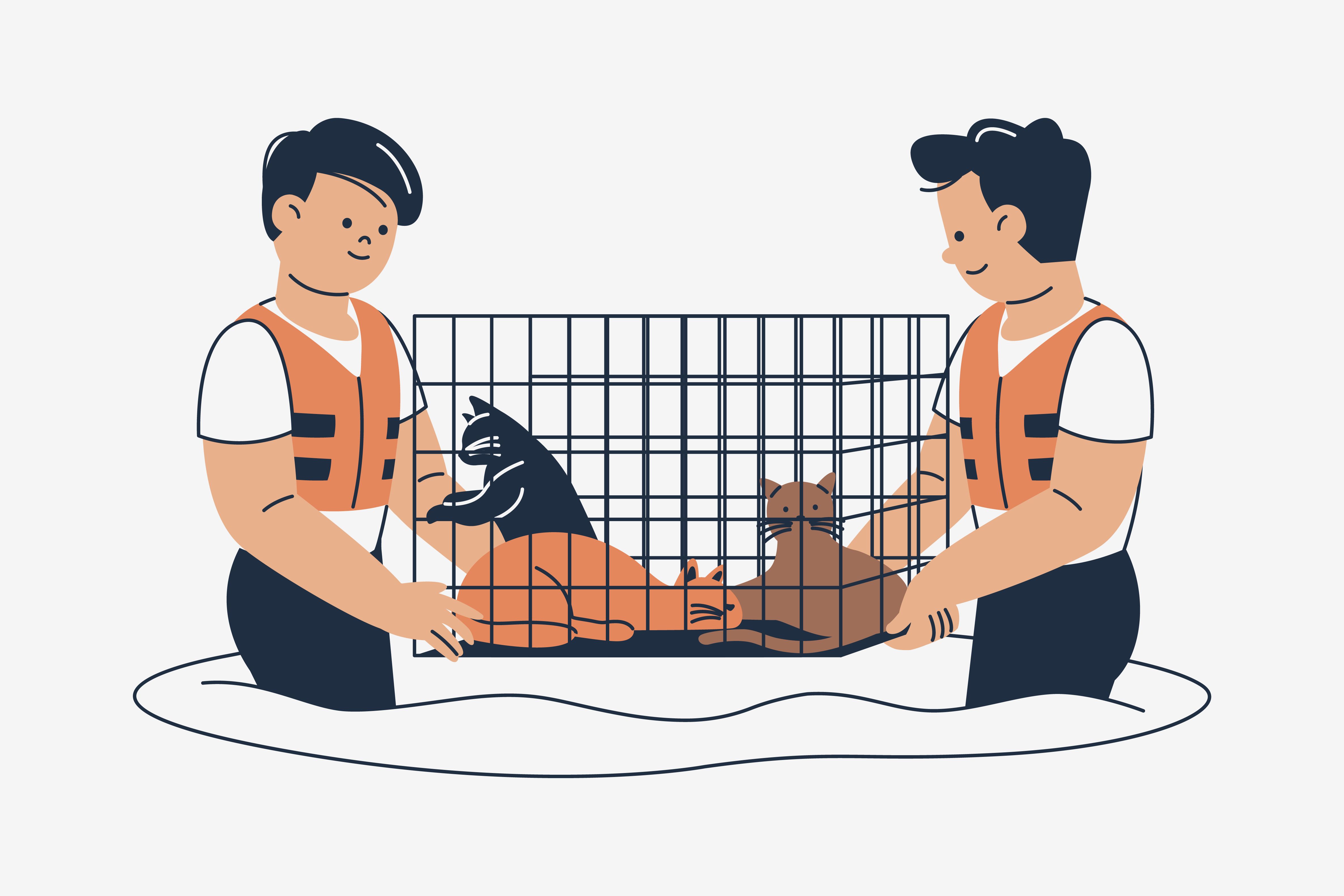 <![CDATA[National animal emergency response program is under development in Canada]]>