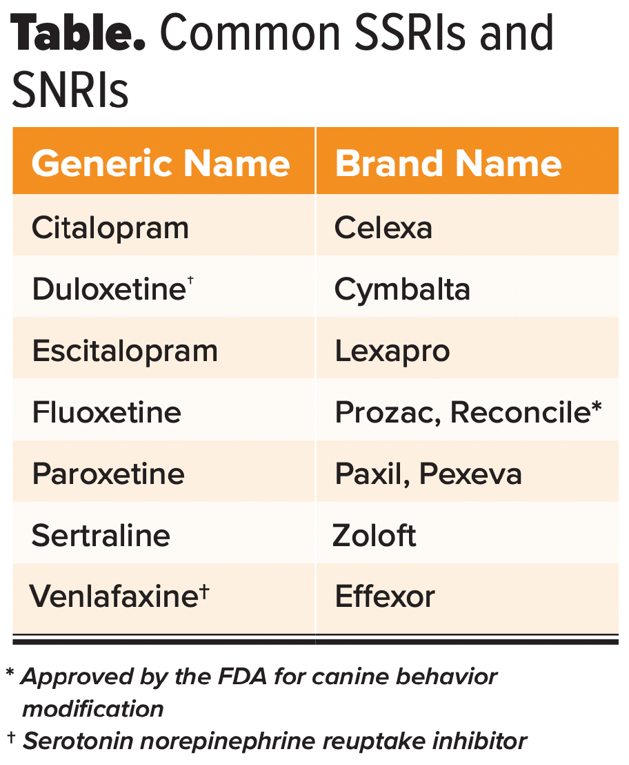 Propranolol Dose in Dogs for Behavior: Effective Anxiety Relief Guide
