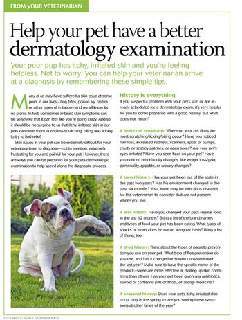 veterinary_handout_speedy_derm_diagnosis.jpg