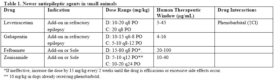 Newer Drugs For The Treatment Of Epilepsy (Proceedings)