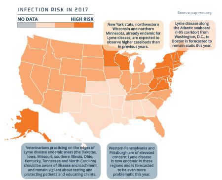 Mapping the risks: Lyme disease | DVM 360