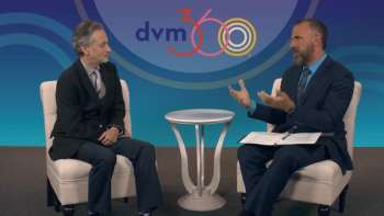 adam christman peter weinstein carecredit