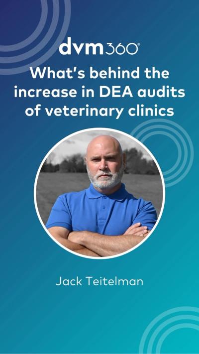 What’s behind the increase in DEA audits of veterinary clinics
