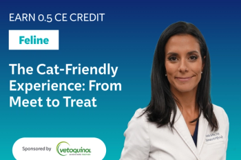 The Cat-Friendly Experience: From Meet to Treat