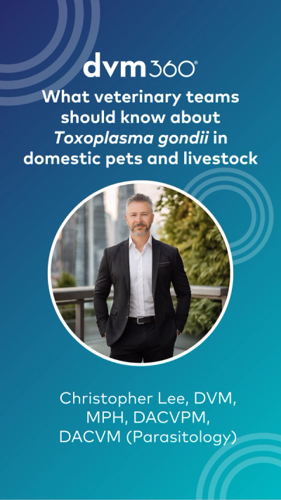 What veterinary teams should know about Toxoplasma gondii in domestic pets and livestock