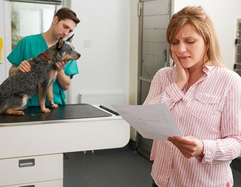 veterinary-expensive-medical bill-AdobeStock_96378570_450.jpg