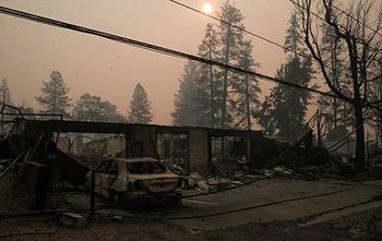 veterinary-camp-fire-charred-ground.jpg