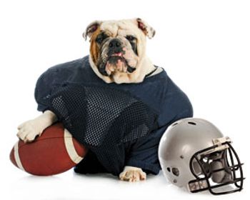 bulldogCoach-821520-1404220870864.jpg