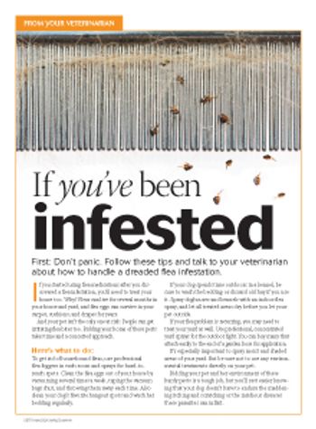 veterinary_handout_infestation_220px.jpg