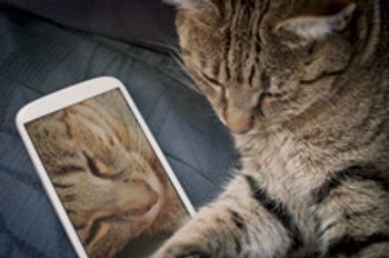 Veterinary-Cat-and-smartphone_220px_153910995.jpg