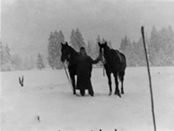 HorseRental-569904-1384537190431.jpg