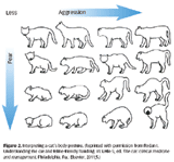 Figure2_t-804875-1404223293030.gif