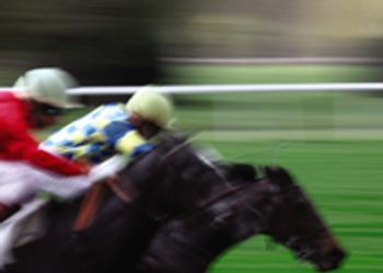 veterinary_racing_1010-688905-1384229126778.jpg