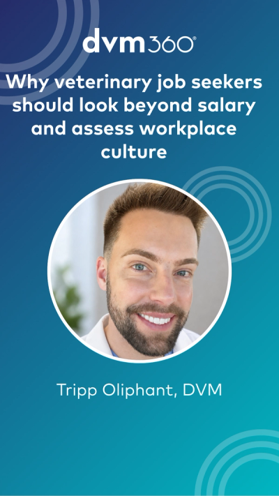 Why veterinary job seekers should look beyond salary and assess workplace culture