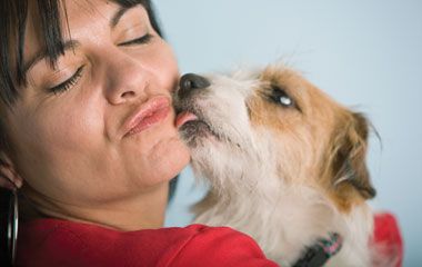 veterinary_Literature_38024_flash-610482-1384503947521.jpg