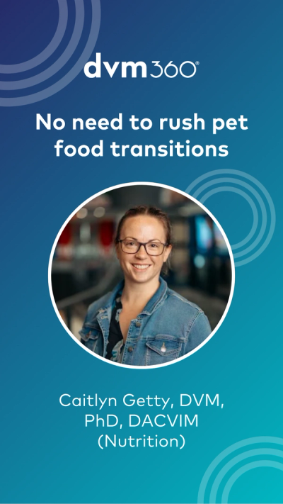 No need to rush pet food transitions