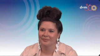 Common perianal diseases and dermatology oddities