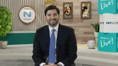 EP. 22 Examining antimicrobial stewardship in veterinary dermatology