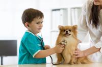 Before they become veterinarians, they become loyal