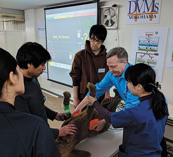 veterinary-recover-japan-highres-body.jpg