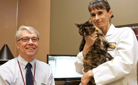 VThyperthyroidcats_450.jpg