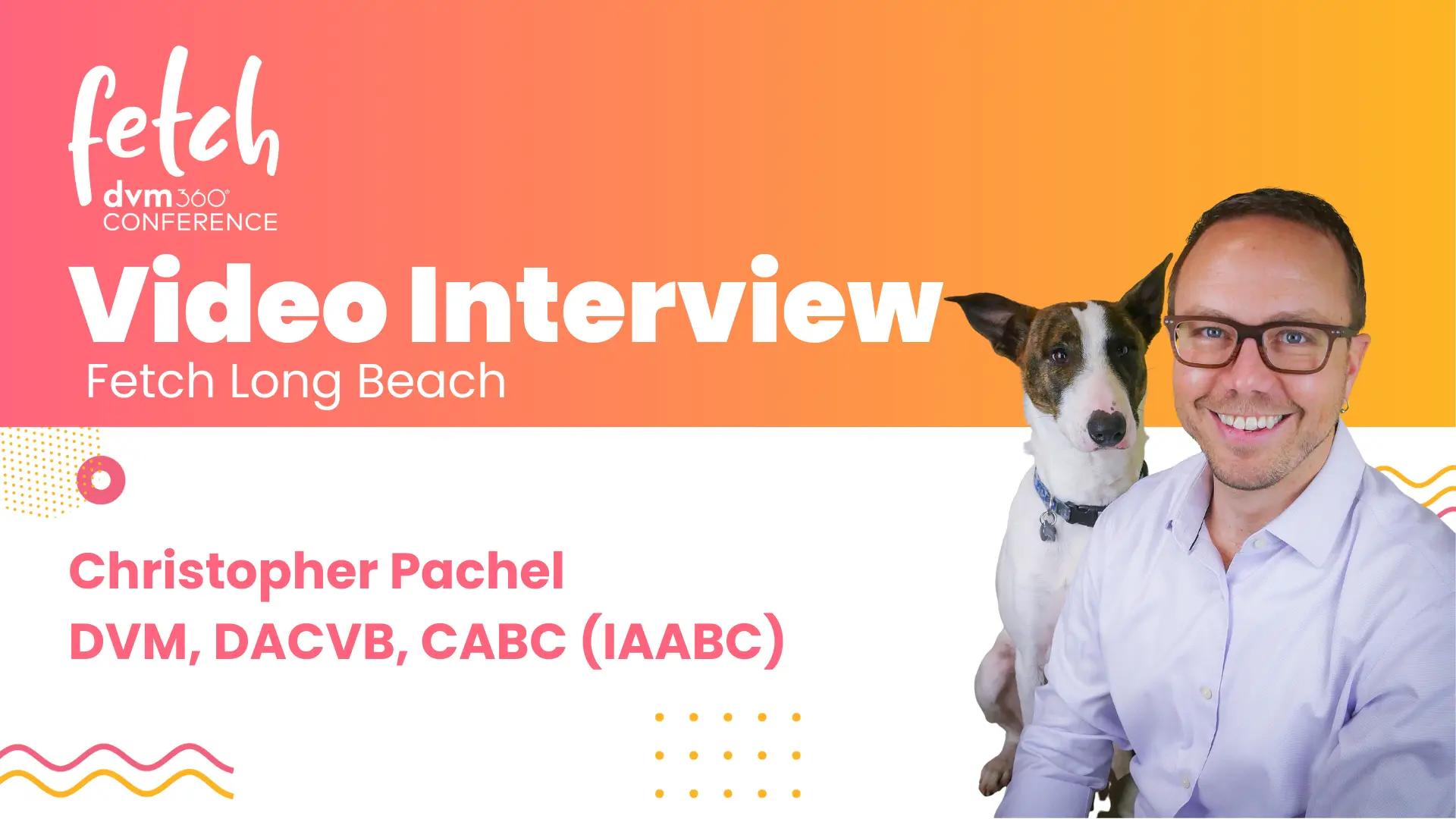 <![CDATA[Choosing the right medication for canine separation anxiety]]>