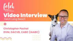 Choosing the right medication for canine separation anxiety