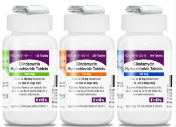 Cindamycine hydrochloride tablets