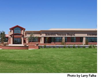 veterinary_bakersfield_wd-602455-1384508127243.jpg