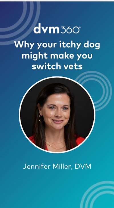Why your itchy dog might make you switch vets