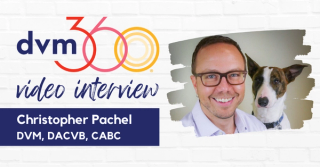Meet the Fetch Faculty: Christopher Pachel, DVM, DACVB, CABC: Part 8