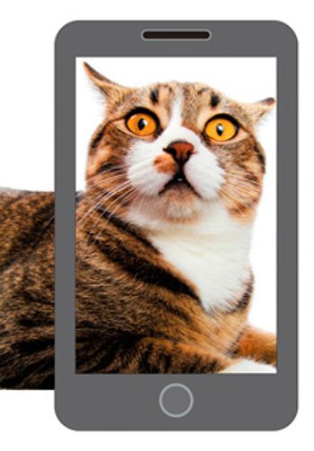 veterinary_Phone-fun_220px.jpg