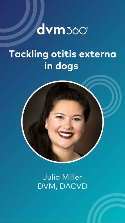 Tackling otitis externa in dogs 