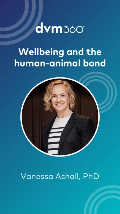 Wellbeing and the human-animal bond