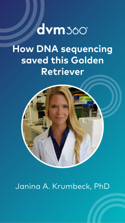 How DNA sequencing saved this Golden Retriever
